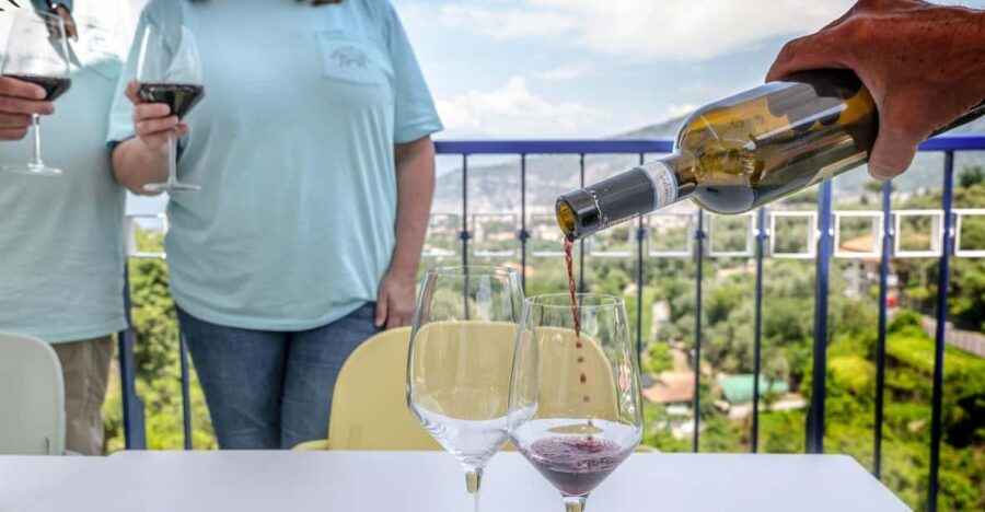 5 Wine Tastings with Typical Products in Sorrento Coast - Price and value: is $79.30 per person fair?