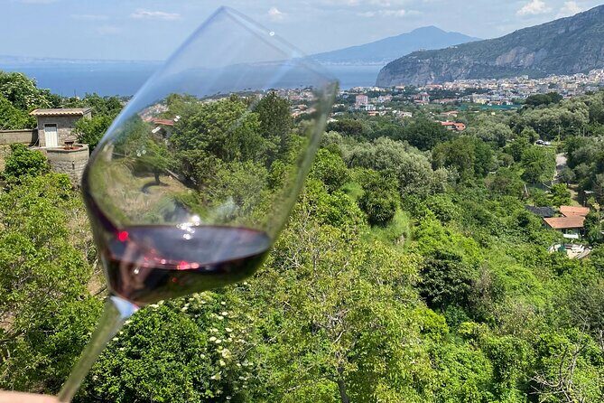 5 Wine Tastings with Typical Products in Sorrento Coast - Stop 1: olive mill welcome and the tasting-of-the-region setup