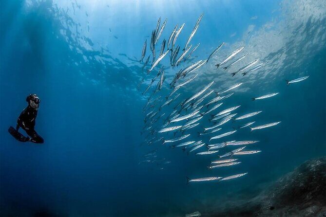 Afternoon snorkelling guided by a marine biologist in Sorrento - Two Snorkel Stops on the Sorrento Coast: More Chances, Better Flow