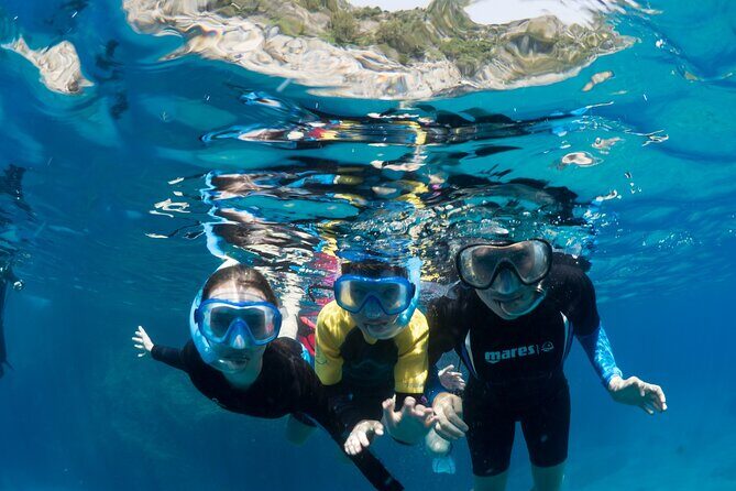 Afternoon snorkelling guided by a marine biologist in Sorrento - Who This Sorrento Snorkel Tour Fits Best