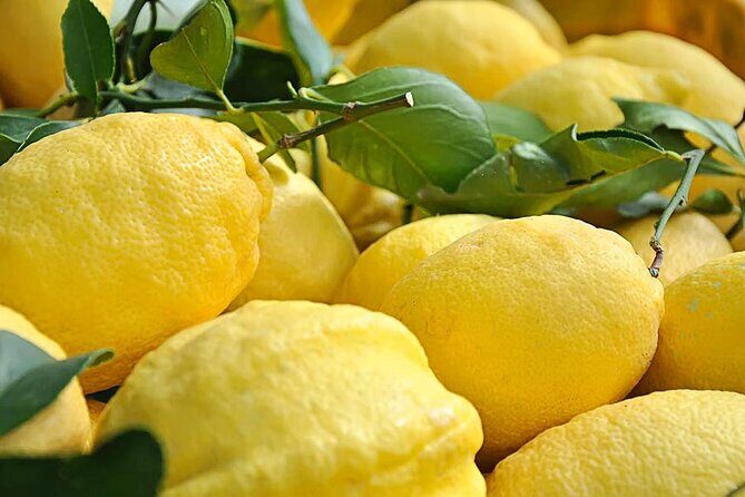 Amalfi Coast - Maiori: Path of Lemons Tour with Tasting - What you’ll learn from lemon groves, not just taste them