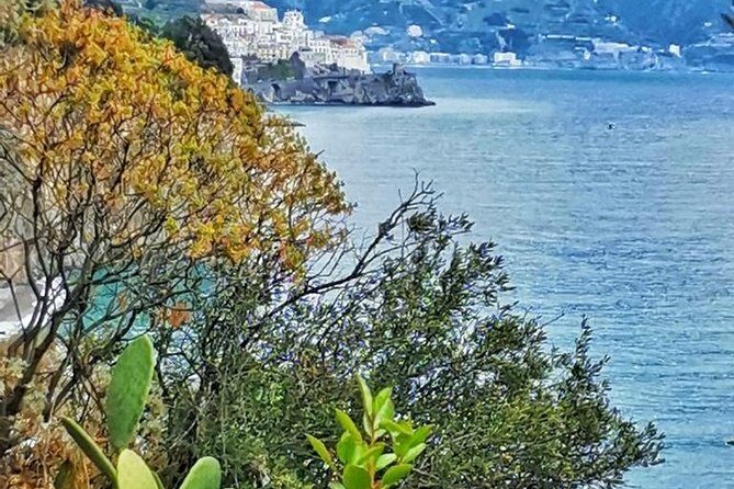 Amalfi Coast Private Tour from Sorrento: Exclusive Mercedes Van - Who Should Book This Amalfi Coast Private Tour