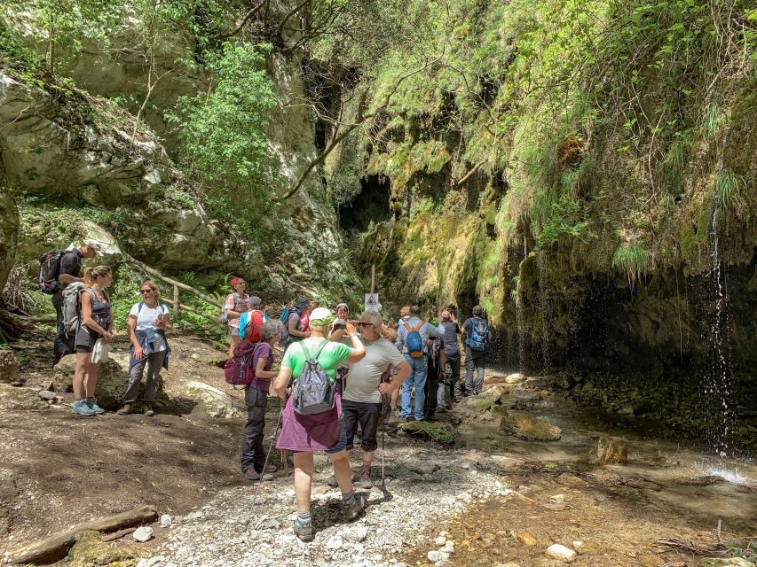 Amalfi: Private Valley of the Mills Nature Reserve Tour - Should You Book the Amalfi Valley of the Mills Tour?