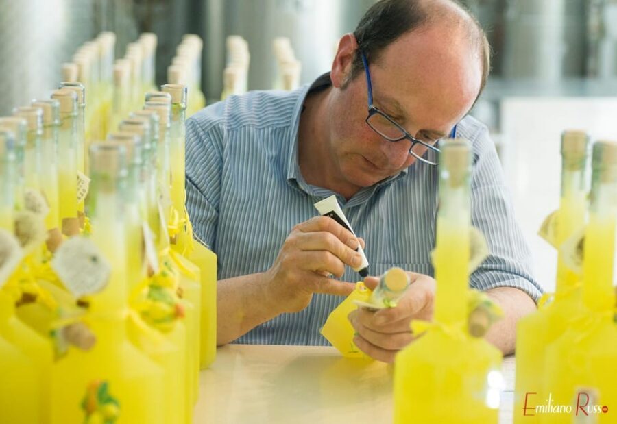 Amalfi: Vertical Lemon Farm Tour, Tastings, and Rural Museum - The 90-Minute Walk Through Terraces and Sfusato Amalfitano Lemons
