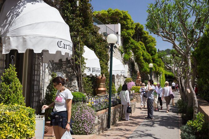 Capri, Anacapri & Blue Grotto: Small-Group Tour from Sorrento - Sorrento to Capri by Fast Ferry: Timing and Crowd Tips