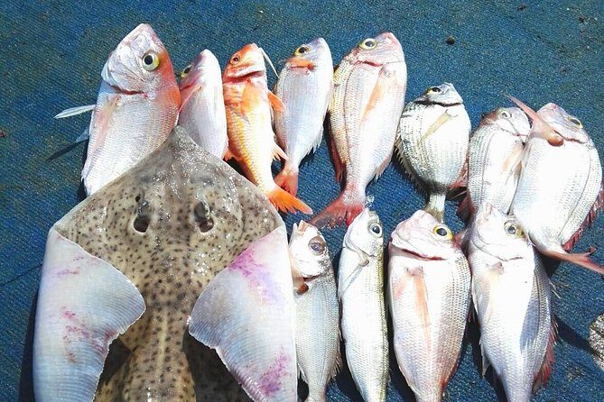 Capri Fishing Excursion with Snorkeling and Lunch from Sorrento - Key points before you go