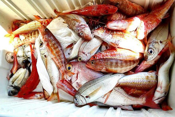 Capri Fishing Excursion with Snorkeling and Lunch from Sorrento - Lunch on Board: Spaghetti, Catch of the Day, and What It Tells You About the Crew