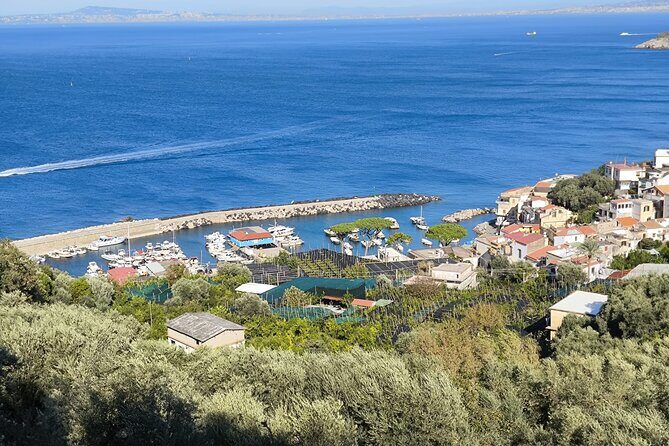 Car Tour admiring Capri and visiting Positano - The road part: parking, timing, and why the car matters