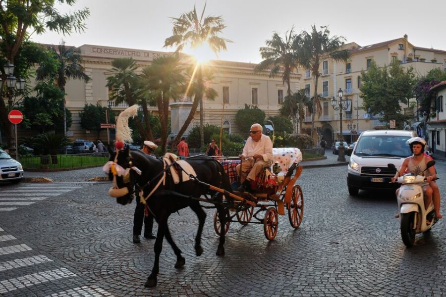Discover Sorrento: food and walking tour - What I think you’ll learn about olive oil, cheese, wine, and lemons