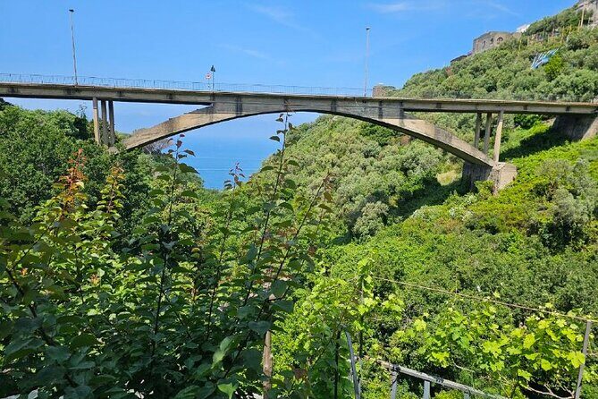 E-Bike Tour in the Sorrento Peninsula and Visit to Acetaia - Guide Quality and Small-Group Rhythm