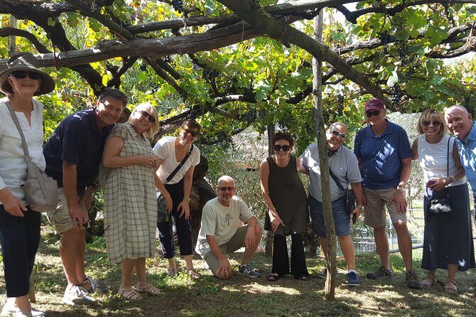 Family or friends Transportation Service for the Experiences - Private Amalfi transport is the smart move for a wine day