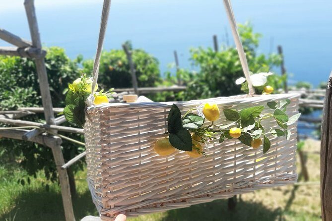 Fifty Shades of Lemon - Amalfi town time with your English-speaking driver at your disposal