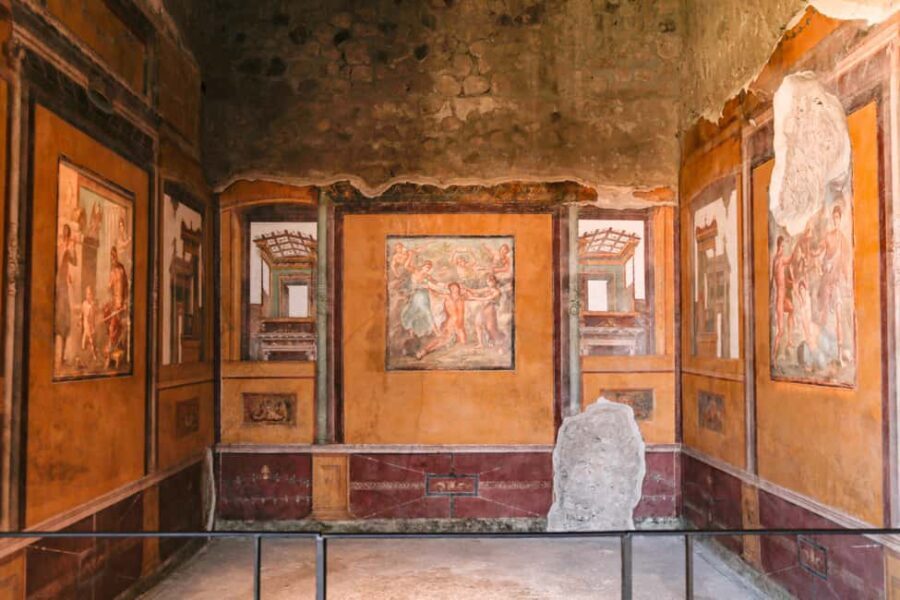 From Naples: Pompeii Skip-the-Line Guided Tour - Getting to the ruins: air-conditioned round-trip transport and quick timing