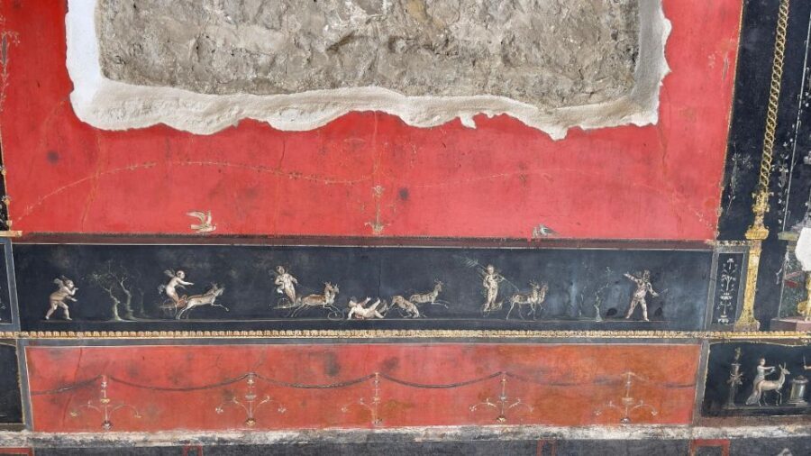 From Positano: Pompeii, Vesuvius, & Wine Tasting with Lunch - Who should book, and who should skip
