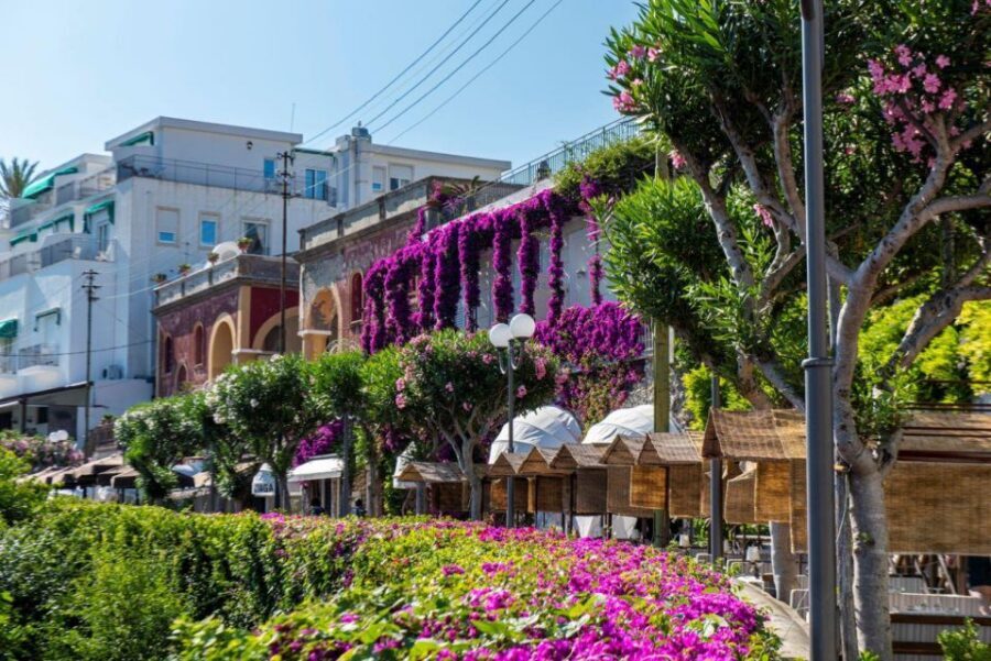 From Sorrento: Capri, Anacapri, & Blue Grotto Full-Day Trip - Lunch with a view, then Piazzetta di Capri