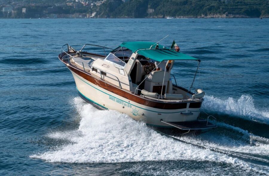 From Sorrento: Capri and Positano Private Day Cruise - Capri swim break and island time: how to make it count