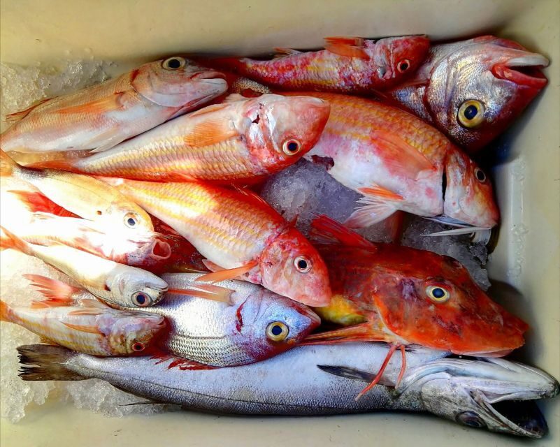 From Sorrento: Fishing in Capri with Lunch - Key highlights that make this day trip worth your time