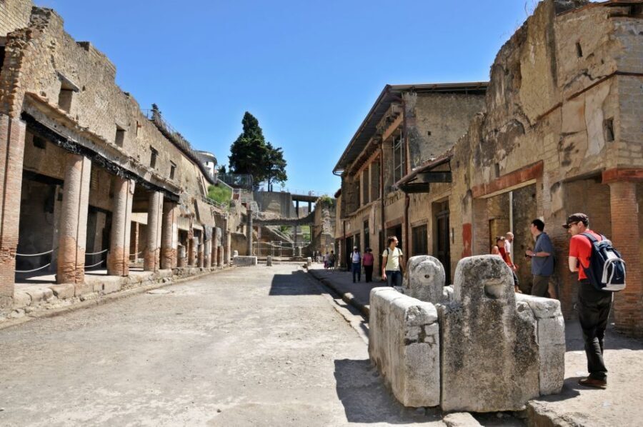 From Sorrento: Herculaneum Guided Tour with easy Lunch - Key highlights worth your time