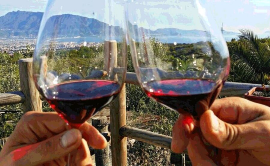 From Sorrento: Pompeii & Mt. Vesuvius Tour with Lunch & Wine - Price and value: is $192.58 per person a fair deal?
