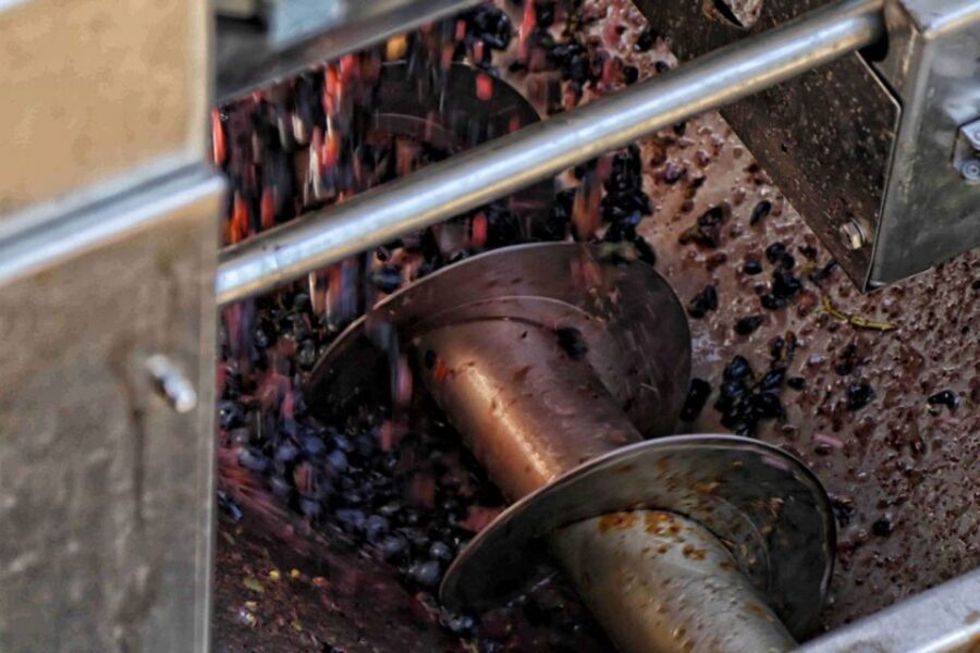 From Sorrento: Winery Tour, Tasting & Lunch - Pompeii Scavi Station to the winery: private transport, but watch the handoff