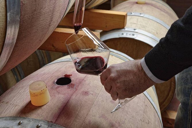 Full Day Small Group Pompeii Tour from Sorrento with Local Wine Tasting - Pompeii’s 2-hour guided walk: what you actually get to see