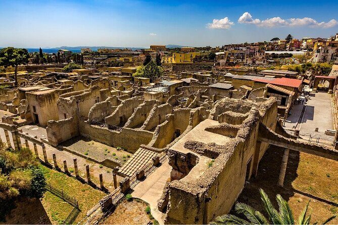 Guided Tour of Herculaneum with Lunch and Ticket Included - Key Highlights to Know Before You Go