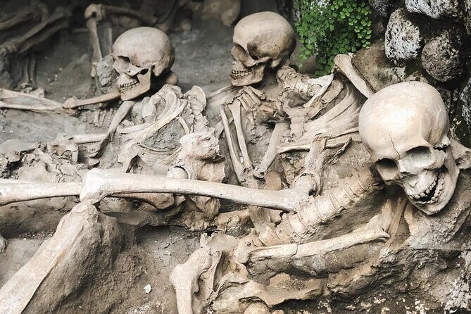 Guided Tour of Herculaneum with Lunch and Ticket Included - Lunch in the Middle of the Day: Simple, Included, and Timed to Keep You Moving