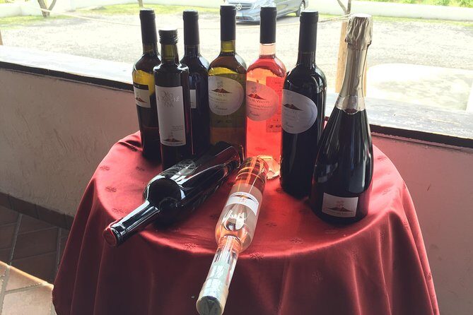 Herculaneum-Wine tour from Sorrento, with licensed guide included - From Sorrento pickup to an 8:15 start that makes sense