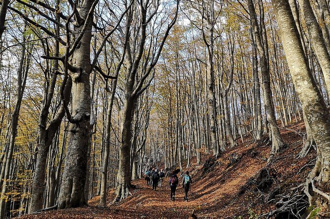 Hiking on Faito Mountain from Sorrento - Reaching Faito Mountain: what the “highest peak” moment is like