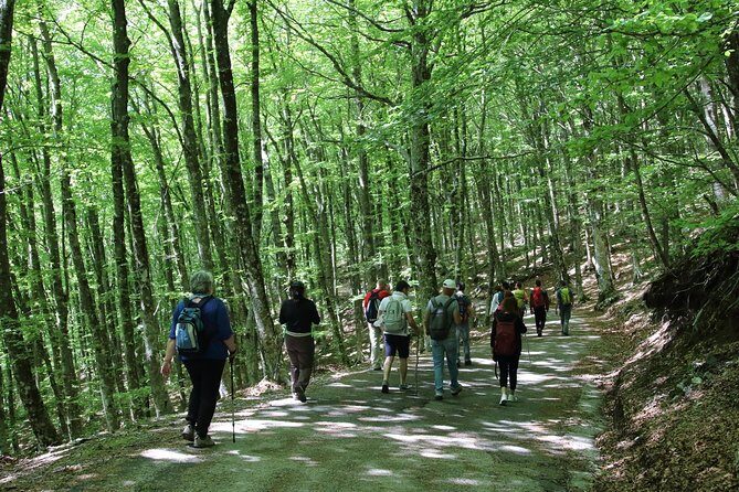 Hiking on Faito Mountain from Sorrento - The guide makes it: why Enzo Barba stands out