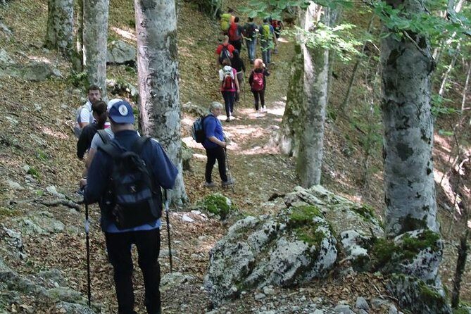Hiking on Faito Mountain from Sorrento - Price and value: is $347.91 per person worth it?