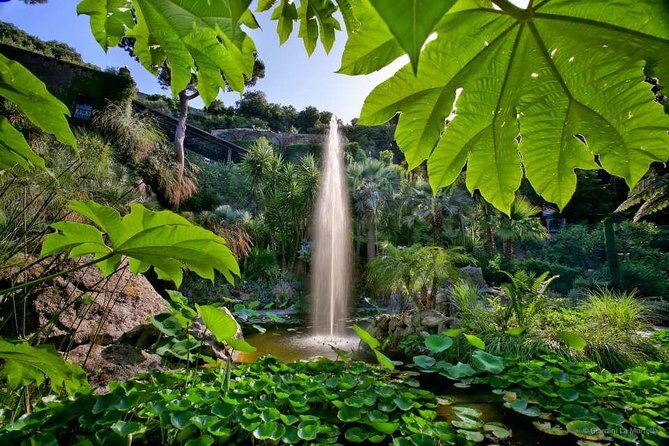 Ischia and La Mortella Gardens - Ischia Time: Six Hours to See the Island Without Feeling Lost