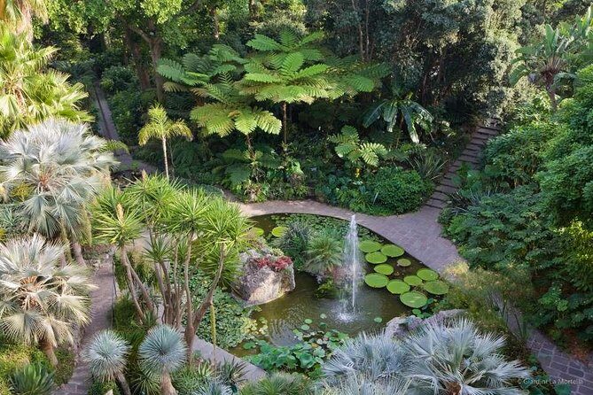 Ischia and La Mortella Gardens - La Mortella Gardens: Coastal Views, Paths, and a Café Break