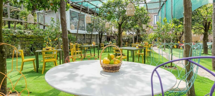 Lemon Tour with Lunch/Dinner - Lemon Garden Tour + Lunch or Dinner in Sorrento: the core idea
