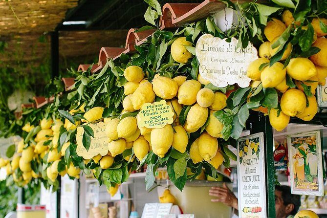 Li Galli Islands and Capri Small Group Boat Tour from Amalfi - Price and value: why it can feel worth it at $252.76