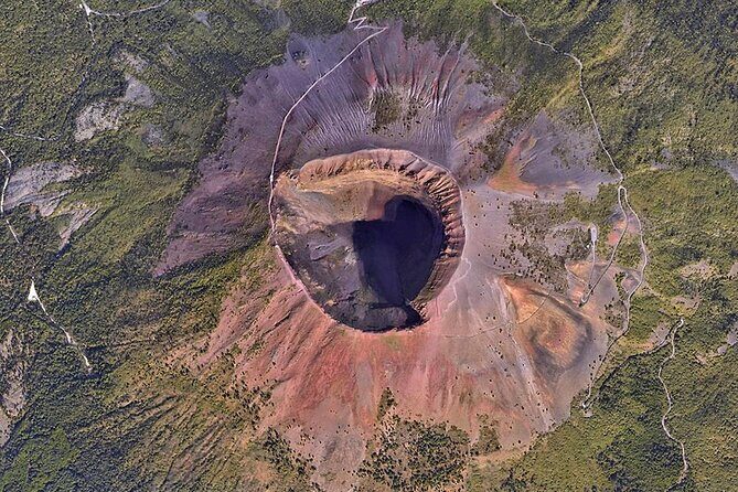 Mount Vesuvius Tour with Entry Ticket & Lunch - Entering Vesuvius National Park: The Flora and Fauna Part You’ll Actually Remember