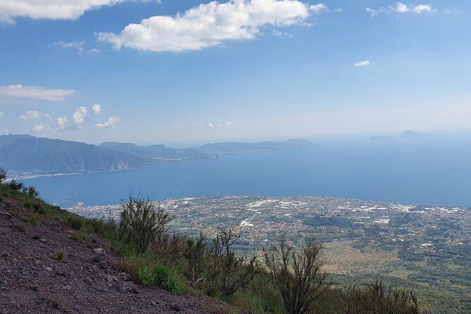 Mount Vesuvius Tour with Entry Ticket & Lunch - Transportation and Timing: Door-to-Door Makes the Whole Thing Easier