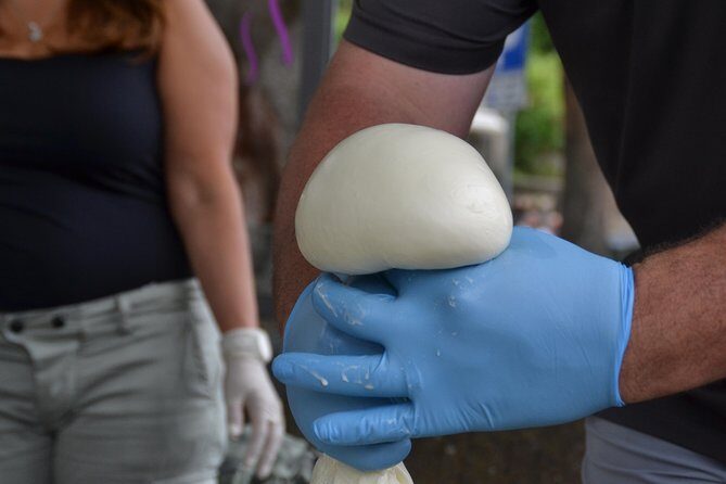 Mozzarella Class or Pizza Class - Mozzarella Class: The Demo, the Hands-On Part, the Tasting