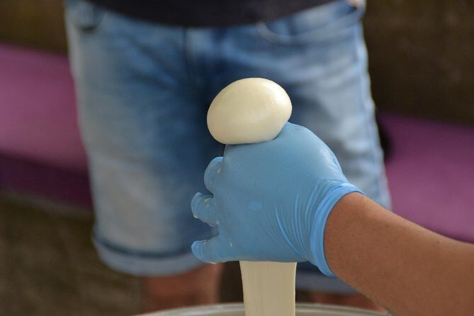 Mozzarella Class or Pizza Class - Getting There Comfortably: The Minivan Setup That Matters