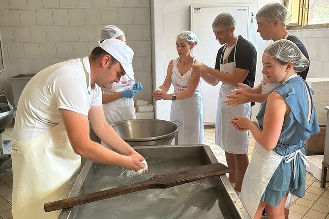 Mozzarella Experience with Tasting in Vico Equense - Where the experience starts (and why that matters)