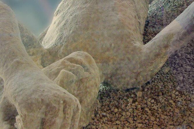 Mt Vesuvius and Pompeii Tour by Bus from Sorrento - Heading to Vesuvius: the timing and the mountain math