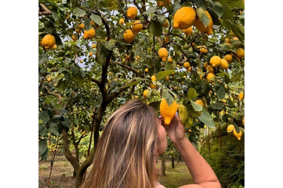 Nonno Mario Lemon Tour - Nonno Mario Lemon Tour: what you’re really paying for