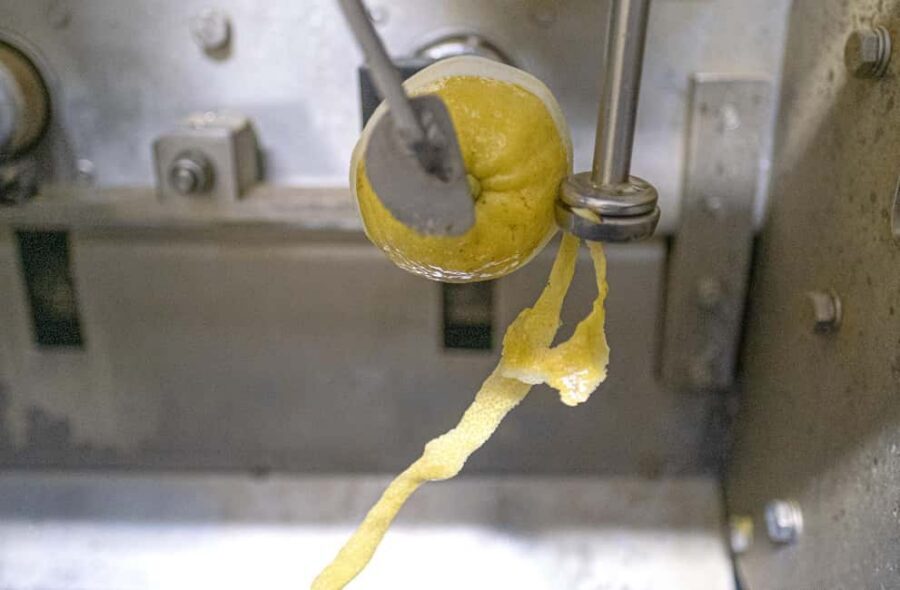 Nonno Mario Lemon Tour - The laboratory stop: peel, squeeze, and learning by seeing