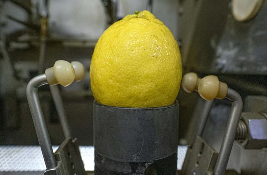 Nonno Mario Lemon Tour - Timing and practical fit: how to place the tour in your Sorrento day