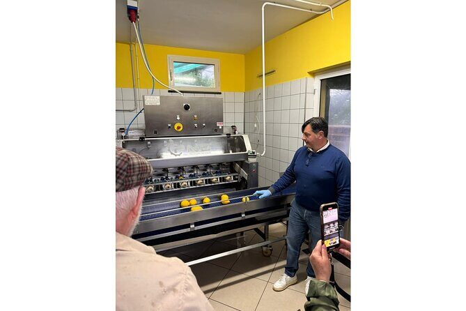 Nonno Mario Sorrento Lemon tour - Key Highlights You’ll Care About