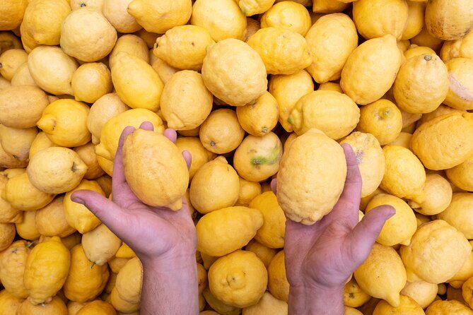 Nonno Mario Sorrento Lemon tour - First Stop: Pickup in Sorrento and That First Lemon Sip