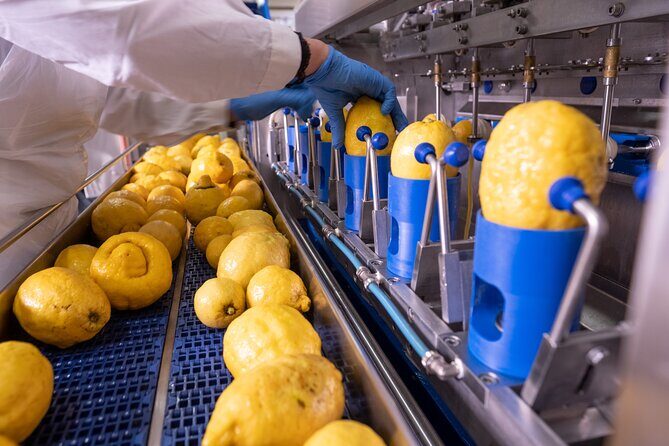 Nonno Mario Sorrento Lemon tour - Price and Value: What You Get for Around $77