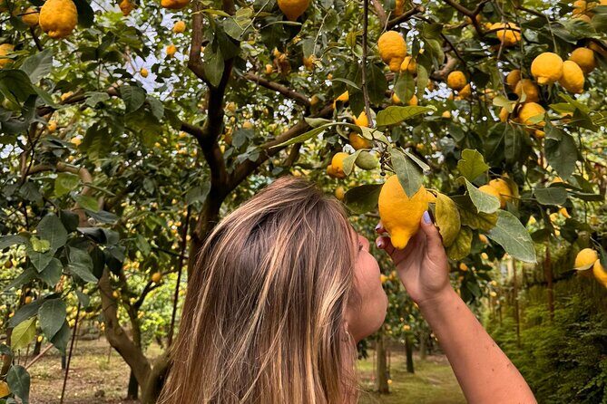 Nonno Mario Sorrento Lemon tour - Should You Book the Nonno Mario Sorrento Lemon Tour?