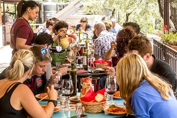 Organic Wine Tasting & Lunch on Vesuvius with Transfer from Sorrento Peninsula - The Views Are Part of the Experience, Not Just a Bonus