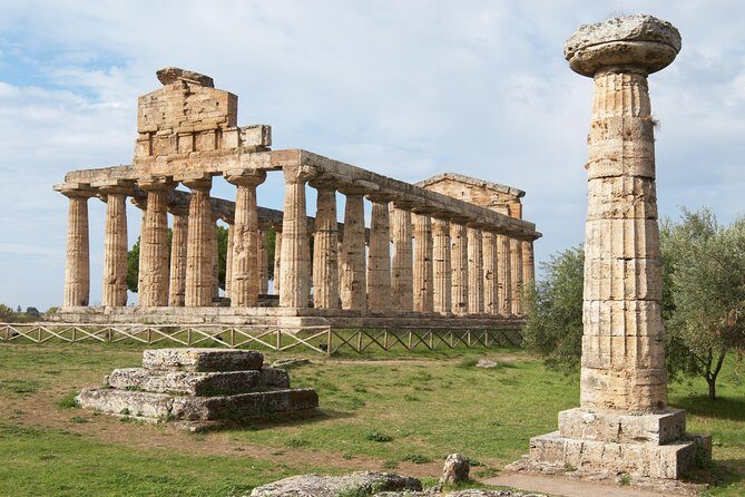Paestum, Buffalo Mozzarella tasting and light lunch private tour - Price and value: is $509.35 per person worth it?